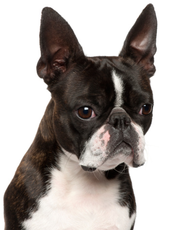 Weekly Devo: Heading Home