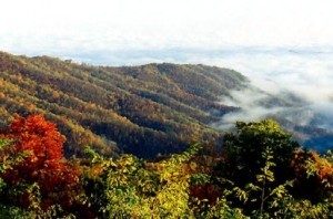 Simple Faith: Onsite Owners