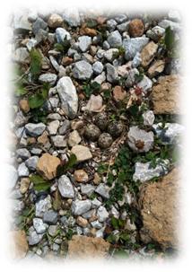 Weekly Devo: Happy Holy-Days