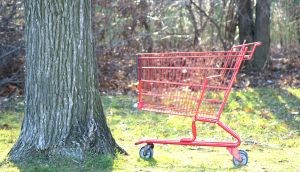 Simple Faith: Society for the Prevention of Cruelty to Shopping Carts